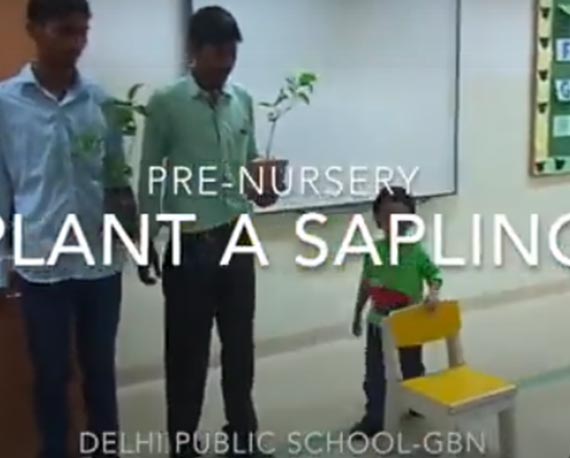 Pre-Nursery Plant a Sapling