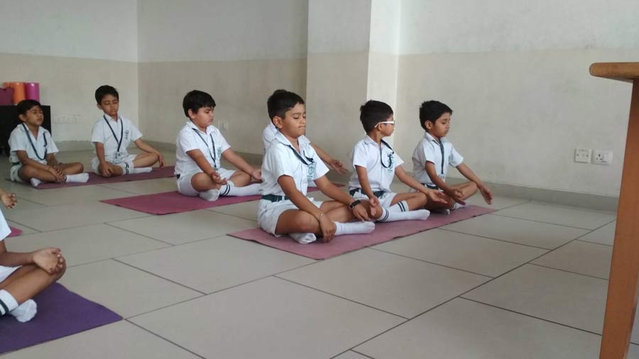 5th International Yoga Day