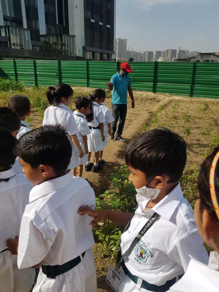 An Ode to Mother Earth and EVS - Green Footprints (Special Week)