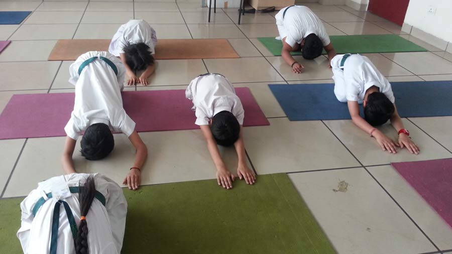 5th International Yoga Day